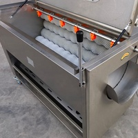 Automatische aardappel schil- en reinigingsmachine, commerciële borstelschiller voor groenten, fruit, yam en taro