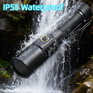 Linterna UV de bolsillo de 20W 365nm, luz negra recargable con Clip ZWB2, filtro negro para <span class=keywords><strong>curar</strong></span> gatos, Tinea, detección de orina para mascotas - Product Image 4