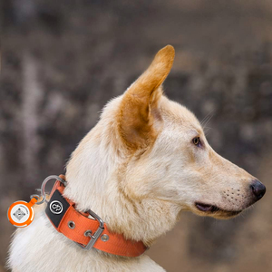 OKKPETS Venta caliente 3,8 CM Collar de perro para perros grandes personalizado con <span class=keywords><strong>GPS</strong></span> Correa de perro y juego de collar - Product Image 6