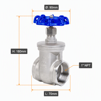 Válvula de Compuerta de 1 Pulgada CF8 SS304 200 WOG con Rosca NPT, Válvula de Compuerta de Acero Inoxidable con Volante Azul para Agua, Aceite y Gas