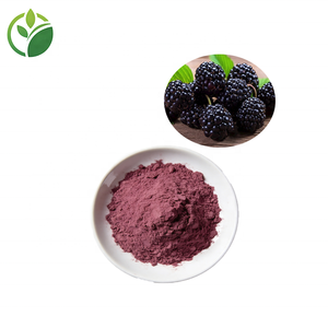 ผงผลมัลเบอร์รี่ธรรมชาติขายส่งจำนวนมาก คุณภาพสูง เกรดอาหาร ผงน้ำมัลเบอร์รี่ ผงสารสกัดจากมัลเบอร์รี่ แอนโทไซยานิน - Product Image 1