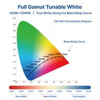 Bande LED SMD 3838 RGBW 24V 18W/M Spectre Complet Blanc Réglable 1800K-12000K Haute IRC Éclairage Circadien