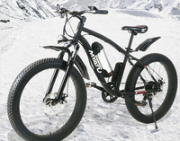 20/26 pouces 700C motoneige moteur à courant continu 36V 48V 500W contrôleur de moteur sans balais neige vélo Cassette vis roue de moteur arrière