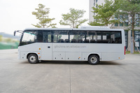 Navette d'aéroport de luxe mini bus 20 passagers 8m moteur Cummins diesel mini bus 15 places passager véhicule personnalisé automatique
