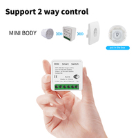Télécommande Vocale 2 Voies DIY pour Rideau Intelligent 16A DC, Mini Interrupteur Intelligent Tuya Sans Fil Wifi pour Maison Lumière