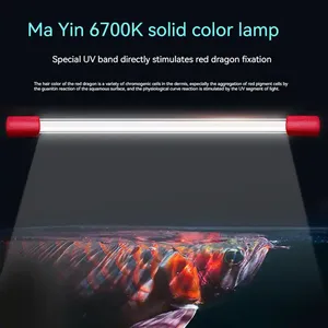 Marca <span class=keywords><strong>Mayin</strong></span> Color sólido IP68 Arowana iluminación de bronceado 6700K logotipo láser pintura UV luz mágica dragón pecera LED acuario Luz - Product Image 3
