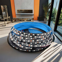 Tira LED RGBIC WS2811 con Certificación CE RoHS, 12V 24V SMD 5050, Direccionable, Banda LED de Píxeles, Tira LED Digital para Decoración Interior en Europa