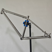 Let's Proceed, cadre de vélo en titane Classic Revival avec routage de câble externe et roues 29er remplaçables