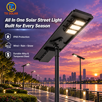 Lampu Jalan LED Tenaga Surya All-in-One Tahan Air, Lampu Jalan Tenaga Surya OEM Kustom untuk Penerangan Jalan Pedesaan & Tempat Parkir