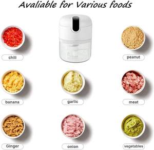 Itchen-<span class=keywords><strong>picadora</strong></span> de carne y ajo, máquina lectrica recargable para alimentos - Product Image 2