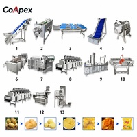Usine automatique de production de chips de pommes de terre 200-300 kg/h, aménagement personnalisé pour la remplacement des équipements