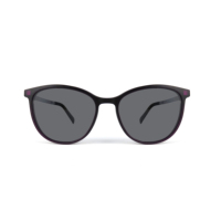 2024 nouveau OEM Top qualité Ultem cadre lunettes polarisées magnétique Clip sur lunettes personnaliser magnétique optique cadre lunettes TR90