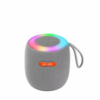 Haut-parleur portable 5.3 haut de gamme avec LED RGB, fonction FM, sortie 10W, prise en charge de la carte mémoire, idéal pour les fêtes et le home cinéma, mini sans fil