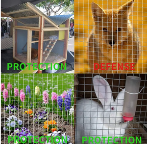 Prix d'usine, Ventes Flash : Grillage en fil d'acier galvanisé et en acier inoxydable de haute qualité - Product Image 4