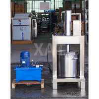Extracteur de jus électrique automatique multifonctionnel en acier inoxydable Presse-fruits Presse-agrumes pour boisson orange, citron et pomme