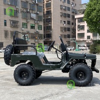 Voiture électrique miniature de style moderne, kit de voiture électrique miniature de style Jeep pour enfants, voiture électrique Thar 4x4 pour les camps de surf côtiers