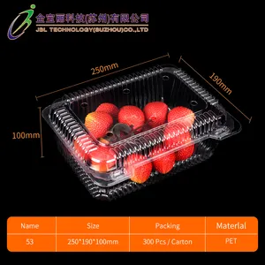 Custom Clear Transparent Food Container PET Disposable Plastic Clamshell Vegetable Fruit Packaging Box For Grape Lychee Cherry
