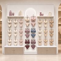 Étagères murales modulaires personnalisées pour présentation de soutiens-gorge, mobilier de présentation pour boutique de lingerie, fabricant d'ameublement de magasin OEM