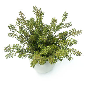 Plante artificielle en pot de 39 cm de haut, imitation bonsaï de haricots, 2 tiges, en céramique, avec adhésif thermofusible, pour décoration intérieure - Product Image 2