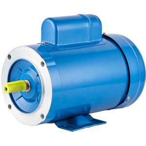 Motor de Inducción de CA Monofásico de 1/3 HP, 230 V, 60 Hz, con Carcasa de Acero, para Bombas - Product Image 1