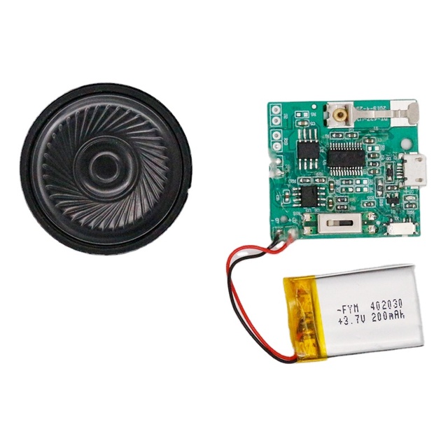 China Wholesale Most Popular Good Voice MP3 Download Sound Chip For Greeting Card Manufacturer