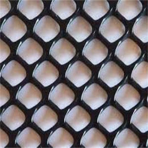 प्लास्टिक फ्लैट तार जाल/प्लास्टिक सादा जाल कृषि Extruded प्लास्टिक सादा जाल - Product Image 5