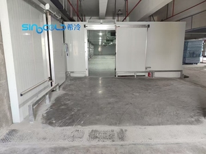 Cámara Frigorífica de Gran Escala para Logística de Refrigeración y Congelación, Cuarto Frío para Almacenamiento de Frutas, Verduras, Carne y Mariscos - Product Image 5