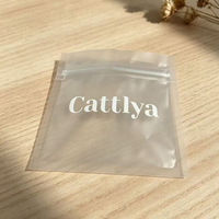 Pochette zippée en plastique givré avec logo personnalisé minimaliste, sac réutilisable refermable pour bijoux de mode, mini-produits, emballage de vente au détail