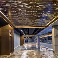 Panneau décoratif perforé en aluminium, revêtement mural creux, enduit PVDF, pour plafond de centre culturel, de théâtre et d'opéra