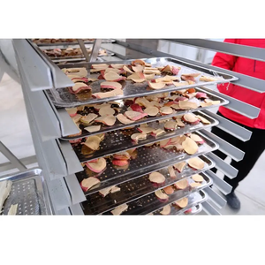 Equipo de secado al vacío por congelación, máquina de secado al vacío de buena calidad, precio más barato - Product Image 6