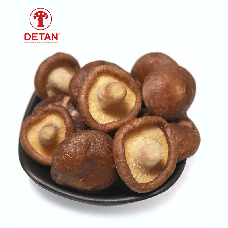 DETAN atacado 100% original Chips de cogumelos Shiitake lanches de vegetais saudáveis