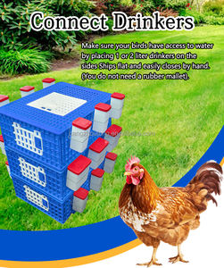 Haute qualité LMC-02 trois portes poulet bébé poussins coqs poule caisse de transport de volaille pour ferme avicole - Product Image 6