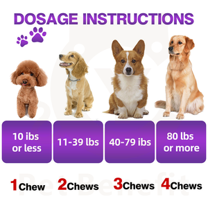 Suplemento Intestinal Probiótico para Mascotas OEM/ODM, Masticables Blandos para el Apoyo Digestivo, Prebióticos, <span class=keywords><strong>Enzimas</strong></span> <span class=keywords><strong>Digestivas</strong></span>, Promueve la Salud Intestinal - Product Image 3