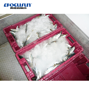 Système de Glace Liquide Focusun - Embarquable ou Terrestre pour <span class=keywords><strong>la</strong></span> Filière Pêche - Product Image 2