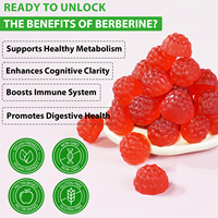 Bonbons gélifiés végétaliens sans sucre à marque privée, saveur pastèque, à la berbérine, pour soutenir le système immunitaire et la digestion, en gros