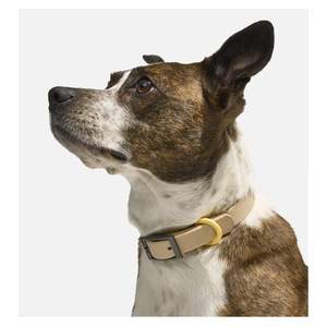 Pvc Pet <b>Collar</b> Harness Leash Set <b>Waterproof</b> Wear Resistant Outdoor <b>Dog</b> Walking Custom Fit Adjustable Buckle - Product Image 2