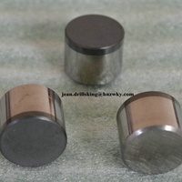 Boutons demi-PCD d'usine / Coupe-roche diamanté / Insert de coupe-roche diamanté demi-PDC