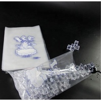 SUNHO sac de glace emballage froid sac de refroidissement jetable sacs en plastique de fête