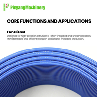 Machine d'extrusion professionnelle en téflon (PTFE) Pinyang pour l'isolation des fils et câbles de haute précision, économe en énergie