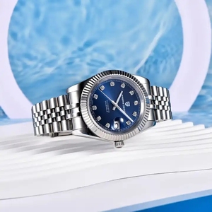 Reloj de Pulsera PAGANI DESIGN 1645, Nuevo, en Oferta, Deportivo, Mecánico, Automático, de Acero Inoxidable, Resistente al Agua, con Puntero de 20 mm, para Hombre, 2025 - Product Image 4