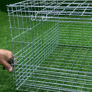 <span class=keywords><strong>Cage</strong></span> à Poulets de Chair de Haute Qualité en Batterie Type H, en Fer Galvanisé, Entièrement Automatique, pour Gros et Petits Animaux, à Vendre - Product Image 3