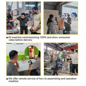 Mezcladora de Polvo Horizontal, Repuesto de Cinta Mezcladora, Adhesivo para Azulejos, Mezcladora de Polvo Seco de <span class=keywords><strong>Segunda</strong></span> <span class=keywords><strong>Mano</strong></span> - Product Image 6