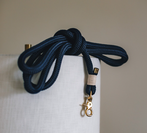 Productos Más Vendidos <span class=keywords><strong>2026</strong></span>, Dispensador de Bolsas para Excremento de Perro Azul de Moda, Correas de Poliéster para Mascotas, Correa para Perro - Product Image 6