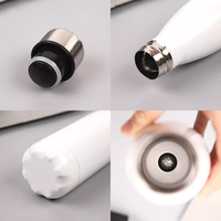Bouteille d'eau isotherme sous vide en acier inoxydable 500 ml, forme cola, personnalisable avec logo, pour sport, gym, cyclisme, multicolore, classiques – Offre Spéciale