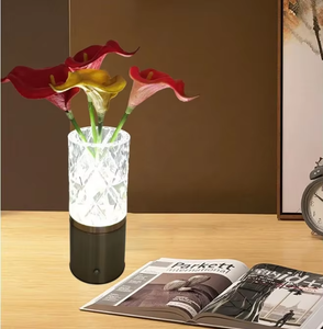 Lampe de table LED en forme de vase, décoration de bureau, éclairage pour plantes, vase en acrylique, décoration d'intérieur, bonsaï, éclairage étanche, décoration de chambre - Product Image 2