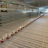 Equipo Moderno de Alta Calidad para Cría de Pollos, Piso para Pollos en Granjas Avícolas