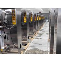 Machine d'emballage de sachets liquides de 50 à 500 ml, ligne de production d'emballage de sachets de lait, de jus, de sauce, d'eau pure, dispositif de fabrication de sachets