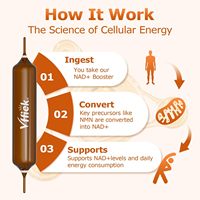 Boisson liquide NAD+ 1200mg, énergie et concentration, complément NAD avec nicotinamide riboside, réparation du DNA, anti-âge, liquide oral pour hommes et femmes