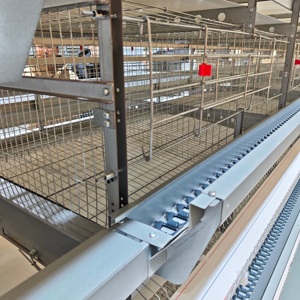 Cage <span class=keywords><strong>à</strong></span> poules pondeuses de qualité supérieure, <span class=keywords><strong>prête</strong></span> <span class=keywords><strong>à</strong></span> l'exportation, en <span class=keywords><strong>vente</strong></span> pour les fermes au Pakistan, cage <span class=keywords><strong>à</strong></span> poules pondeuses au Bangladesh, cage <span class=keywords><strong>à</strong></span> volailles de type H - Product Image 3