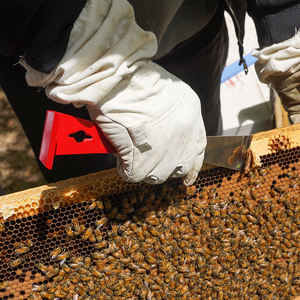 Juego de herramientas de apicultura para apicultores, incluye guantes de piel de cabra de nueva condición, raspador de colmena de acero inoxidable, sombrero de abeja para granjas de abejas - Product Image 6